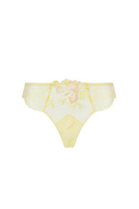 intimo-ortopedia-abbiati-Brasiliana-Frisson-D'or-Lise-Charmel-ACH0061-0