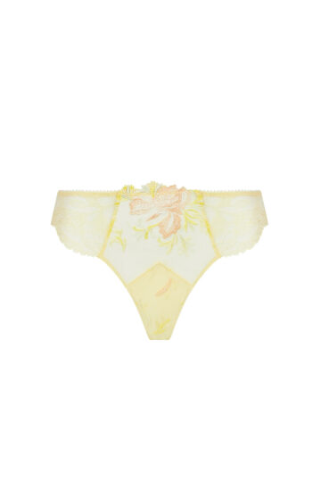 intimo-ortopedia-abbiati-Brasiliana-Frisson-D'or-Lise-Charmel-ACH0061-0