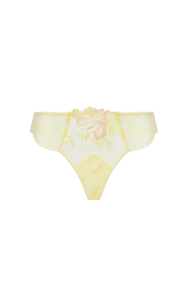 intimo-ortopedia-abbiati-Brasiliana-Frisson-D'or-Lise-Charmel-ACH0061-0