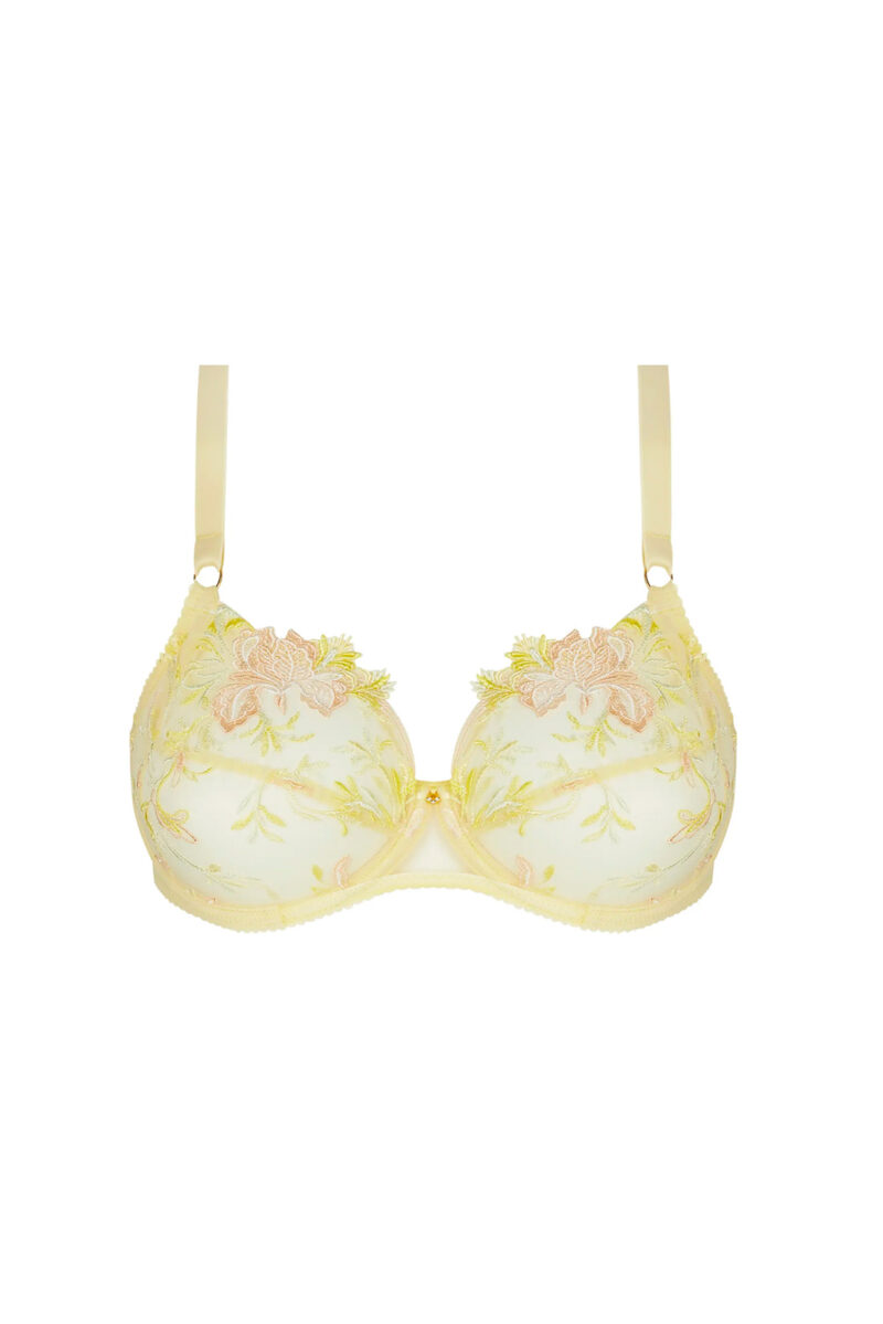intimo-ortopedia-abbiati-Reggiseno-con-ferretto-Frisson-D'or-Lise-Charmel-BCH6161D-0