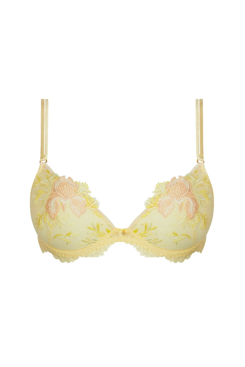intimo-ortopedia-abbiati-Reggiseno-push-up-Frisson-D'or-Lise-Charmel-ACH8561B-0