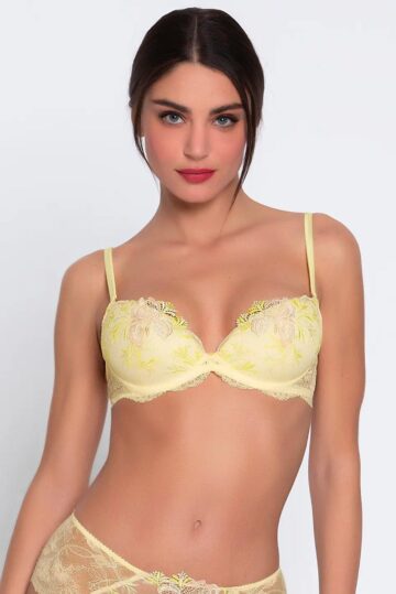 intimo-ortopedia-abbiati-Reggiseno-push-up-Frisson-D'or-Lise-Charmel-ACH8561B-1